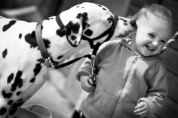 Children and dogs...lovely!