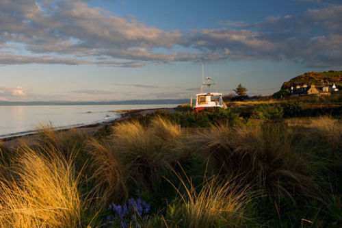  Shandwick Beach in Spring