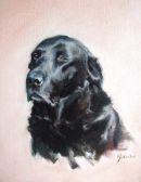 Otto