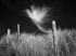 Cloud and fence, Cornwall
