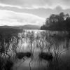 Edge of Rannoch.