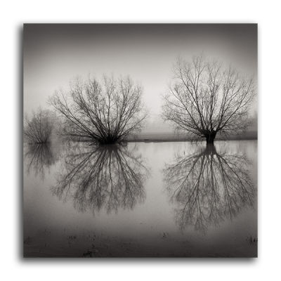 Flooded Vineyards,Tewkesbury