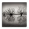 Flooded Vineyards,Tewkesbury
