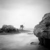 Lone carrelet.