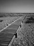 Pathway, Dungeness