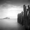 Posts and castle.