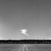 Trees, cloud and moon.