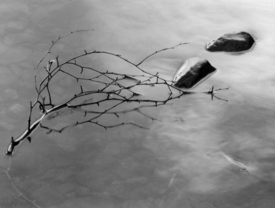 Twig and Rocks