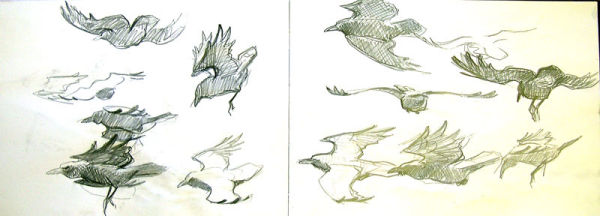  New Years Day Ravens