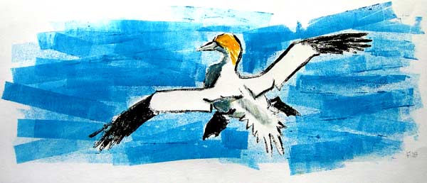 Gannet
