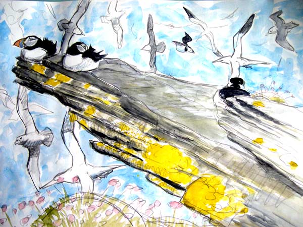 Puffins Gannets and Fulmars. Noss