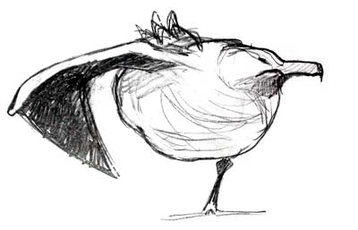 Bonxie
