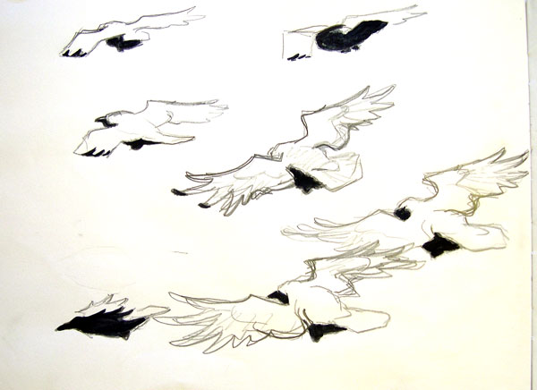New Years Day Ravens