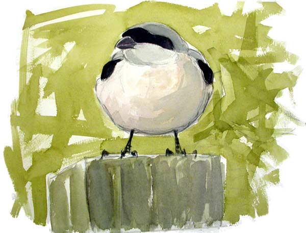 Lesser grey shrike