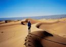 Long Shadow