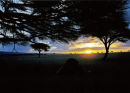 Saharan Sunset