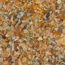 Maple 