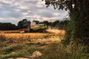 Claas Harvest