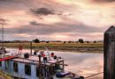 Marsh View