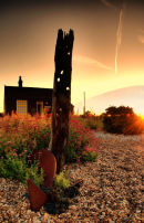 Prospect Cottage