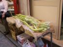 Long Courgettes, Food Market, Palermo
