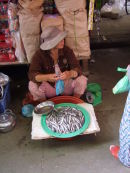 Fishmonger, Hoi An Market