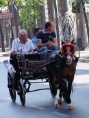 Sicilians in Horse & Carriage, Via Roma, Palermo