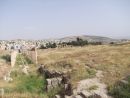 Roman Collonade to East Gate, Jerash