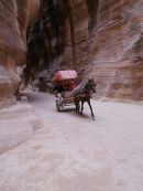 Horse & Carriage through As-Siq Gorge, Petra