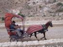 Horse & Carriage, Bab as-Siq, Petra