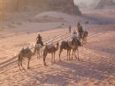 Camel Train in Sunset, Wadi Musa