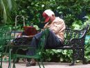 Having a Snooze! central Park, Havana