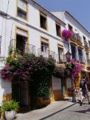 Street, Old Town, Marbella