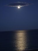 Moonlight Relection! Playamar