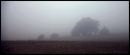 Mist