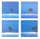 Island Minis