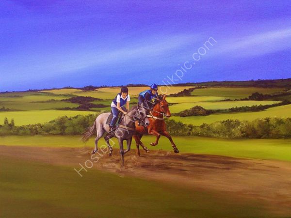 'Knowhere' on the Gallops with stable companion, Private Commission