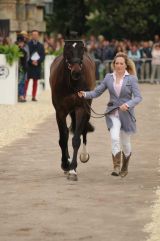 Laura Collet.  Rayef. 8th