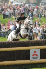 Andrew Nicholson.  Avebury.  10th