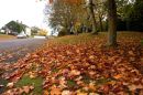 Sandy Lane