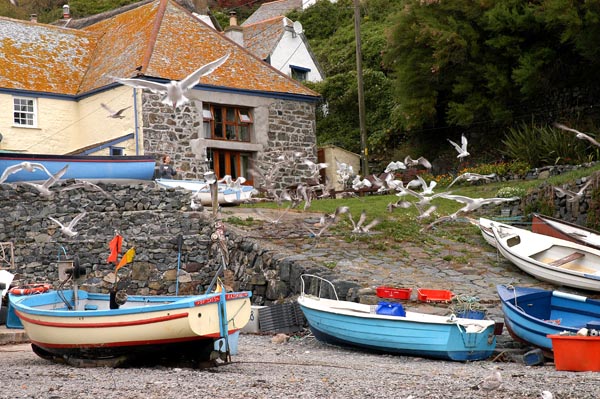 Cadgwith