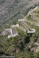 Minis to Monte 2006