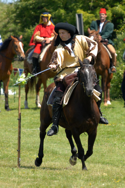 Knight At Arms