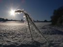 Ice crystals on frozen snow, Oxfordshire, January 2010