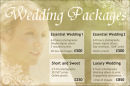 2011 WEDDINGS: Sample prices and packages