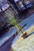 001 Cold out side