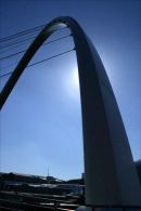 319 1969