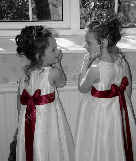 Bridesmaids