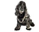 Inspired by Mr T