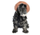 Cool Hat